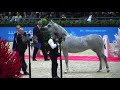 Memories of Paris 2019 - World Championships - Part 13 - Championship - Senior Female