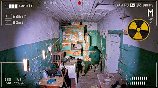 Оставил скрытые камеры в заброшенной деревне на ночь в Чернобыле. Ждали отшельника, а пришли волки