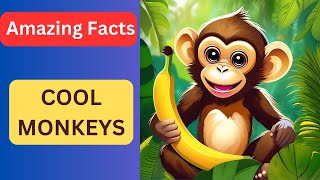 5 Amazing Facts About MONKEYS!