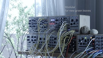 Flame Chord Machine + Mob of Emus + Tides + Mimeophon Ambient / Plaits Nebulae Ensemble Oscillator