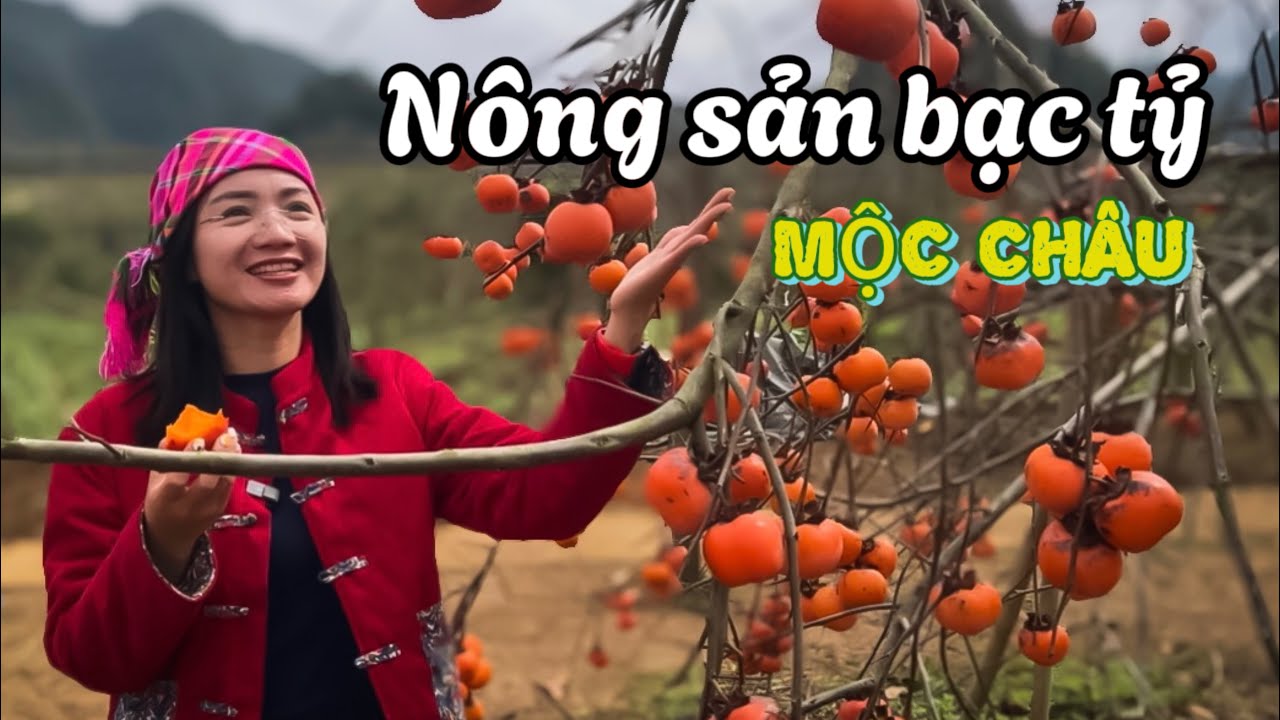 Tết Mông P9 Đưa anh Tú Xe Đầu Kéo đi thăm thung lũng hoa quả tiền tỷ và bữa cơm chia tay gia đình P7