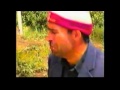 میولی عاشق میشود میولی عاشق میشود