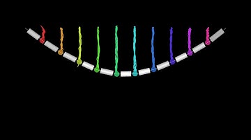 A Rope made of Masses and Springs | Classical Mechanics | Physics Simulations