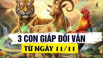 Từ Ngày 11/11: 3 Con Giáp Này Sẽ Phất Như Diều Gặp Gió, Ví No Tiền | Triết Luận Nhân Sinh