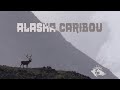 Alaska Caribou Hunt