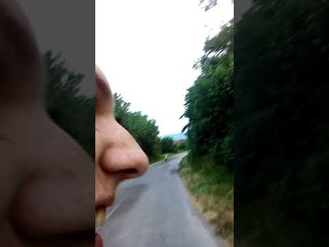 Zov divljine