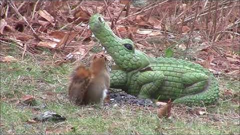 Audio Visual Catnip- December 2017