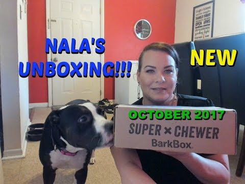 new-subscription-..-barkbox-unboxing-for-power-chewer-//-pitbull-puppy
