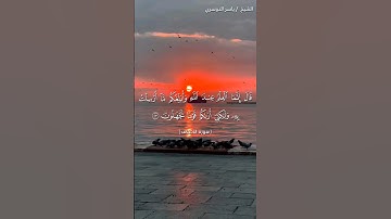 سورة الأحقاف من آية 23 إلى آية 24 بصوت الشيخ ياسر الدوسري♥♥