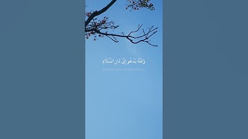 (وَاللَّهُ يَدْعُو إِلَىٰ دَارِ السَّلَامِ...) سورة يونس الآية 25 القارئ رعد الكردي
