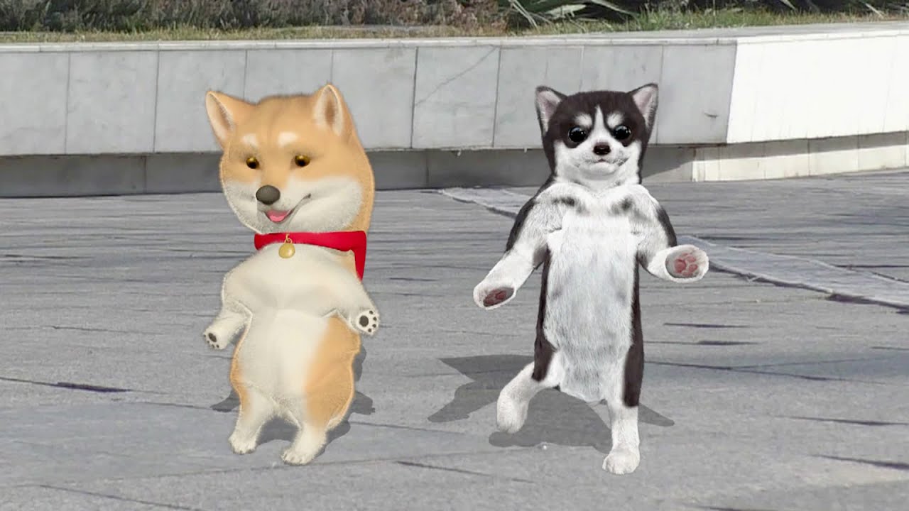 Two dancing dogs