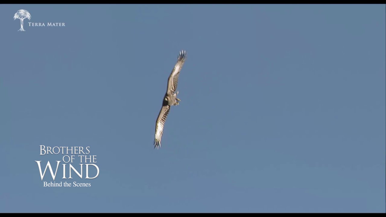 BROTHERS OF THE WIND | Golden Eagle Hunts Chamois | Sneak Peek family friendly resorts