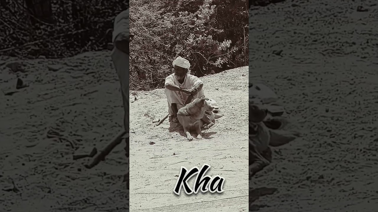 They share a beautiful bond 