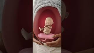MAGICAL: What babies do in the WOMB 😍 #pregnancy #shorts