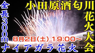 J:COMチャンネル・J:テレの配信のサムネイル画像