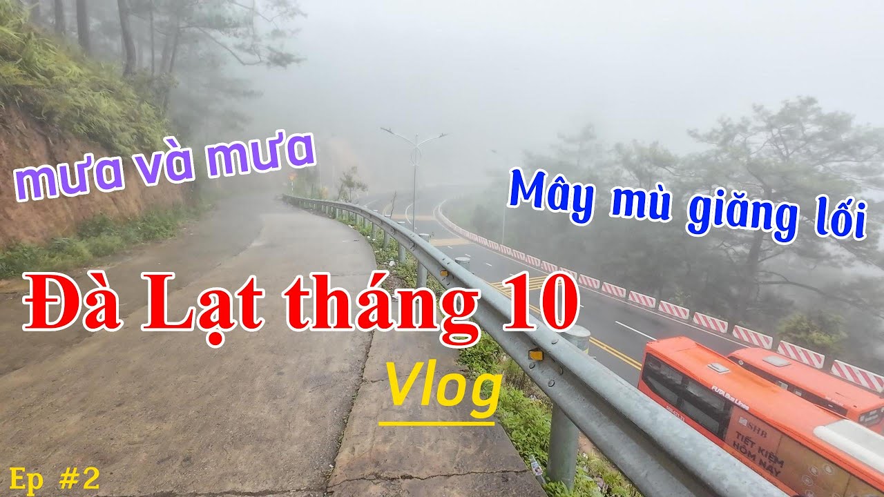 Đà lạt tháng 10| ngày thứ 2 ở đà lạt thì làm gì? mưa và sương mù cực chill 