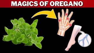 7 Magical Health Benefits of Oregano You Need to Know!