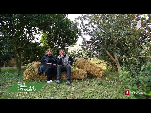 #ფერმა კალმახა სოკოს წარმოების ტექნოლოგია და მწყრის ფერმა დედოფლისწყაროში