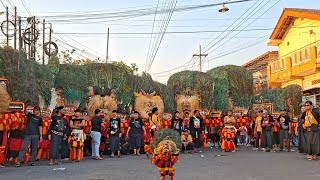 MERINDING❗️BARONGAN REOG KECIL VS REOG PONOROGO TERBESAR 1 DEKADE TIMBUL MANGGOLO GEGERKAN TONATAN