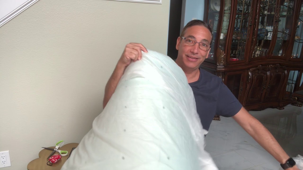 alwyn foam mattress reviews