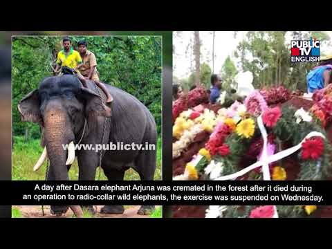 Operation To Radio-collar Elephants Halted After Arjuna’s Death, To Resume After 10 Days
