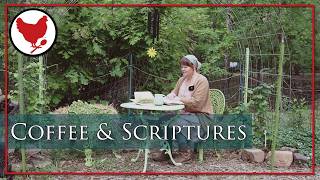 Coffee & Scriptures