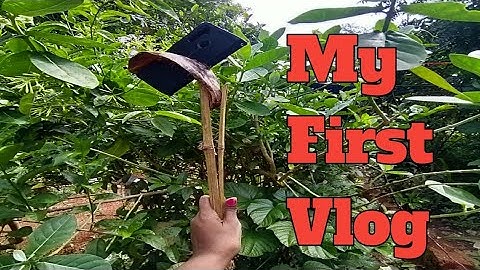 My First Vlog  🥰 #my_first_vlog #my_first_vlog_on_youtube #my_first_video  @AttitudeGirlDiya999