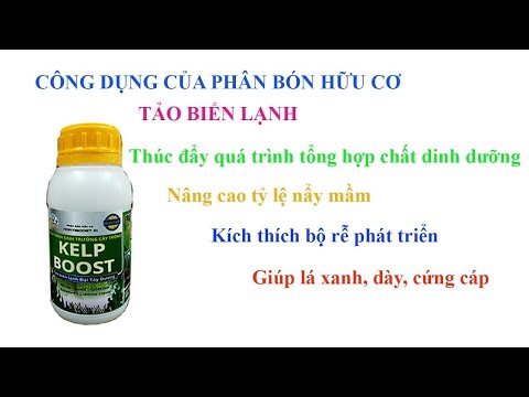 KELP BOOST Tảo biển lạnh - YouTube