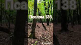 #псалом138#библия #псалом#божья #милость#любовь #psalm #біблія #христианскоепрославление