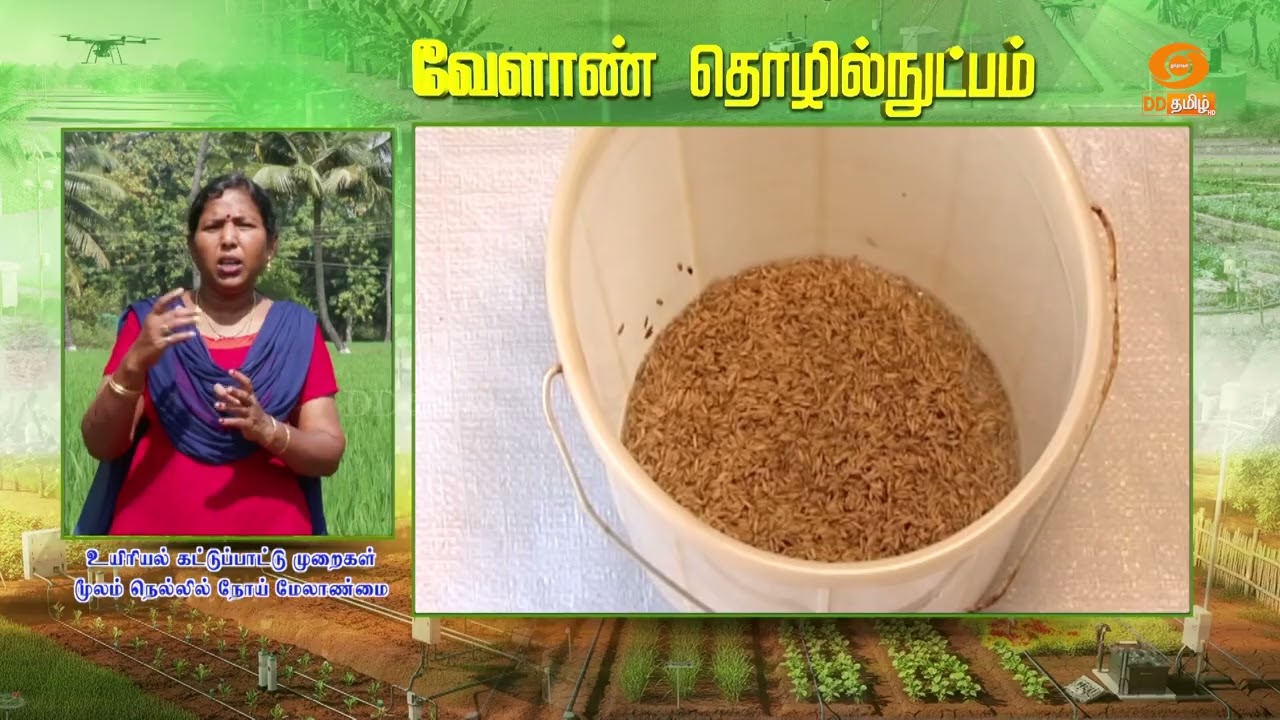 உயிரியல் கட்டுப்பாட்டு முறைகள் மூலம் நெல்லில் நோய் மேலாண்மை | Agriculture Technology