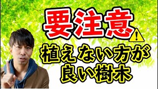 【要注意！】庭に植えてはいけない樹木