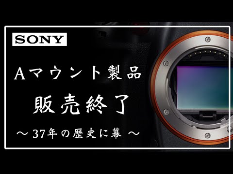 ヒ*K様 天007 カメラ 5点 まとめ売り キャノン ミノルタ ソニー ヒ*K様 天007 カメラ 5点 まとめ売り キャノン ミノルタ ソニー ヒ*