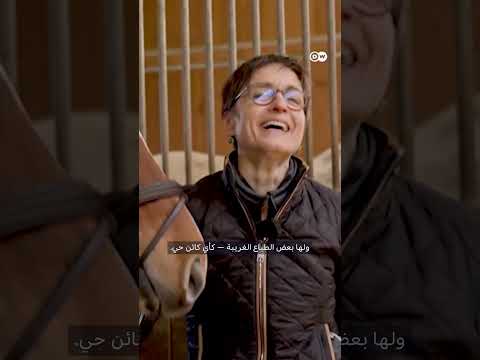 الاعتناء بالخيول النبيلة: وثائقي