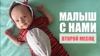 НАШ МАЛЫШ | ВТОРОЙ МЕСЯЦ ВМЕСТЕ | ЧТО ПРОИСХОДИТ И КАК ОН МЕНЯЕТСЯ