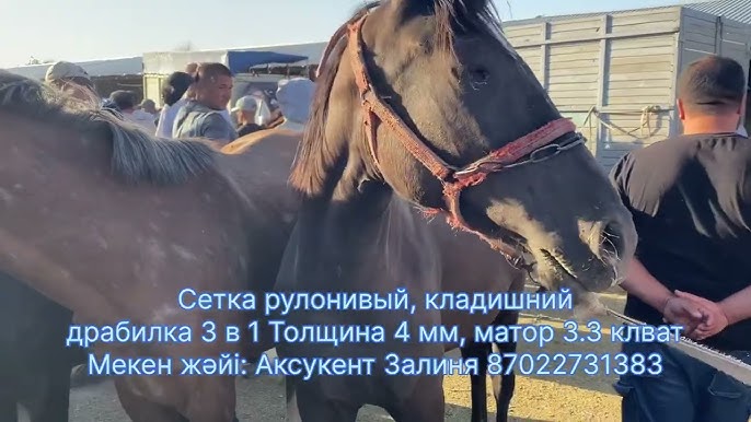 Кунилингус құлдарымен Терезедегі жалаңаш әйел суреті