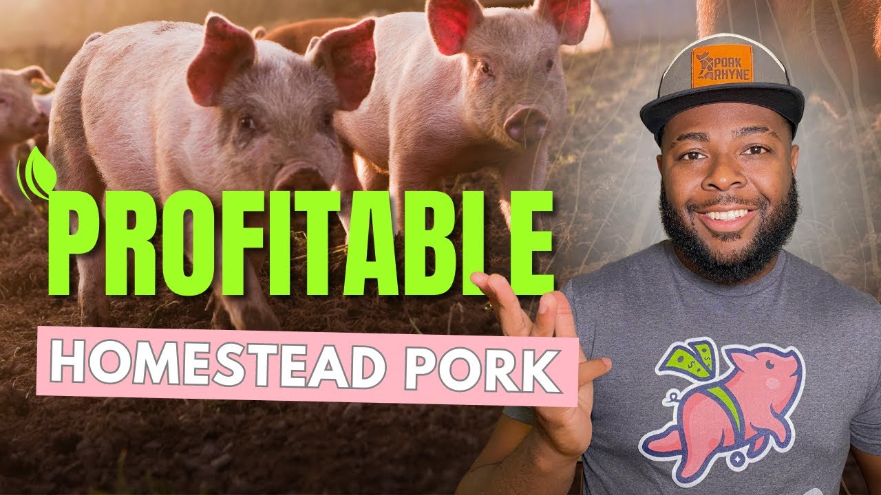 Homestead Pasture Pork Hustle Tips