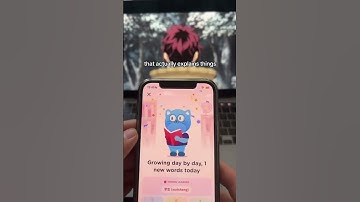 this app has helped me loads #languagelearning #bilingual #languages #fyp #airlearn