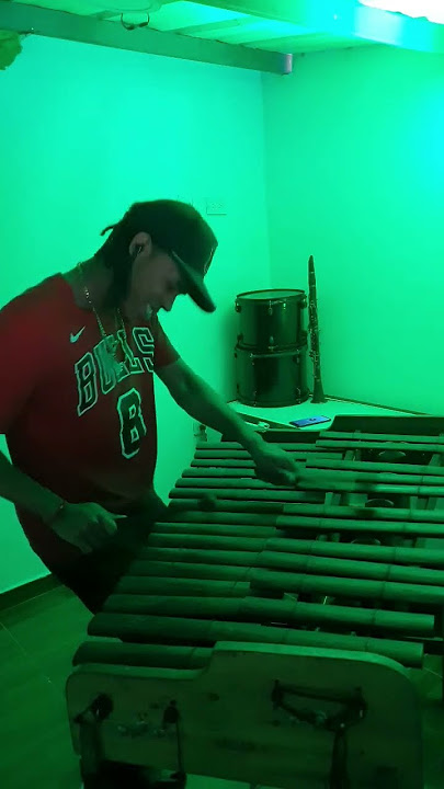 Carlos Santana -maria María - cover marimba 🎶✨ #mariamaria #fyp #carlossantana #viral #virales