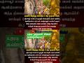 6அடி முருகன் சிலை கண்டுபிடிப்பு#murugan #muruganstatus#muruganstatue #muruganvakku#muruga #godmuruga