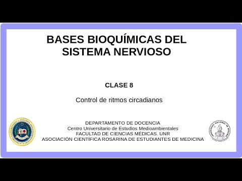 BASES BIOQUÍMICAS DEL SISTEMA NERVIOSO