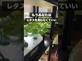 部屋でレタス大量生産！もうスーパーでレタスを買わない！#水耕栽培 #フリルレタス#リーフレタス#レタス水耕栽培#家庭菜園#野菜