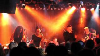 Stereo Luchs &amp; The Scrucialists - Was isch los // Live im EXIL