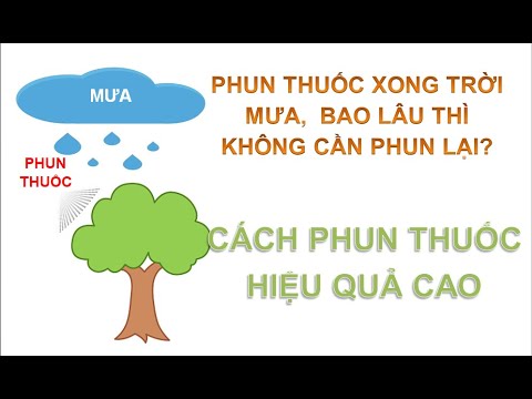 Video: Làm Thế Nào để Phun Nho? Phun Vào Mùa Thu Và Mùa Hè Vào Tháng 8, Tháng 7. Kali Monophosphat Và đồng Sunfat, Làm Thế Nào để Pha Loãng Chúng để Xử Lý?