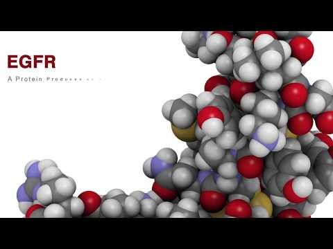 Видео: Afatinib: побочные эффекты, дозировка, использование и многое другое