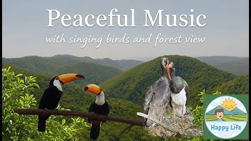 Green peace of video with music and singing birds over forest landscape