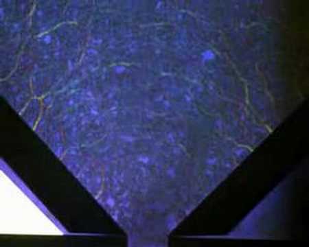 Grains Flowing out of Hopper