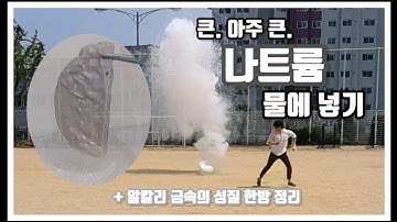 큰. 아주 큰 나트륨을 물에 넣으면? 알칼리 금속의 성질 한방 정리!