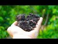 THE SECRET TO BUILDING HEALTHY SOIL!