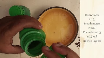 Application of Pseudomonas and Trichoderma for organic gardening