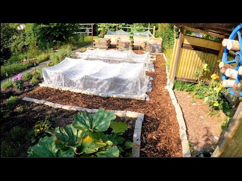 Video: Ein paar nützliche Ideen, mit denen Sie Ihren Garten in eine erfrischende Oase verwandeln können